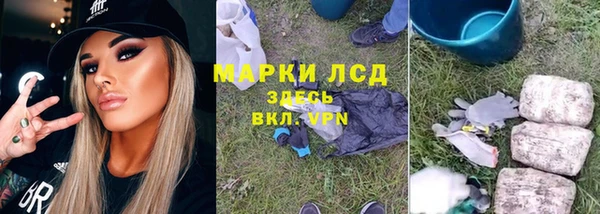 спайс Арсеньев