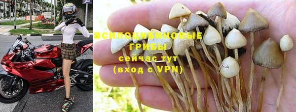 2c-b Переславль-Залесский